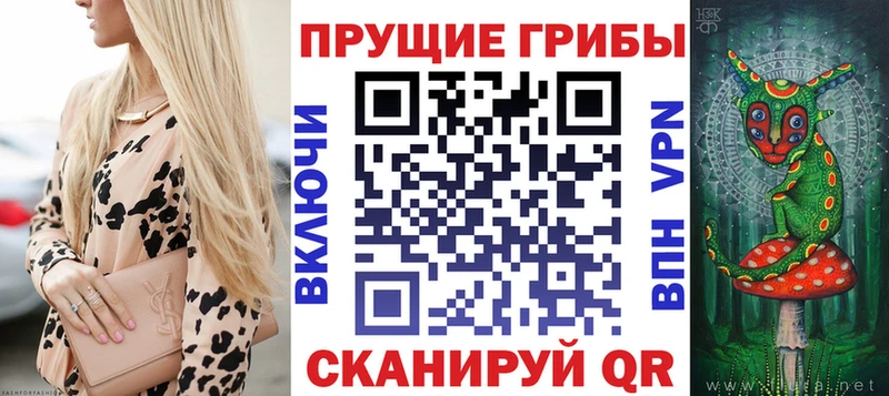 Галлюциногенные грибы Magic Shrooms  Новая Ладога 
